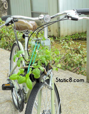 plants on the bike