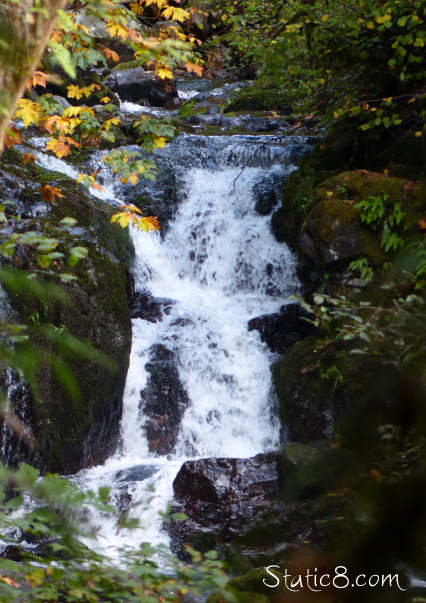 Little falls, McDowell Creek