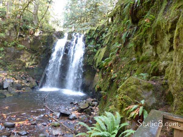 Majestic Falls on McDowell Creek