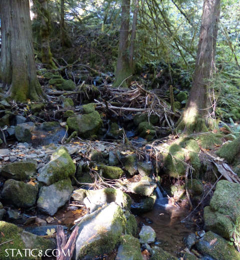 Laying Creek below Moon Fall