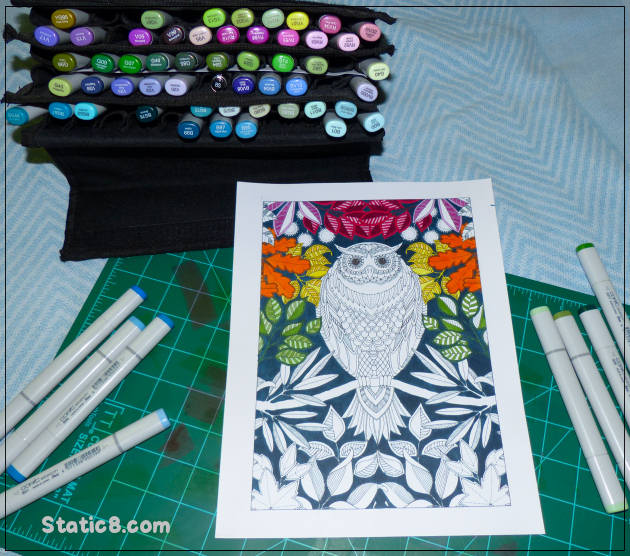 Owl Colouring