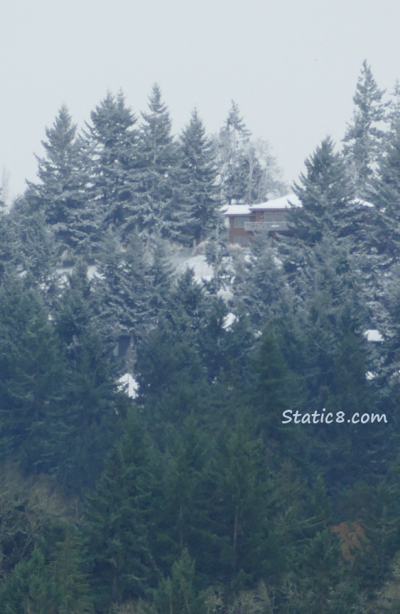 Snow and Frost at the top of the hill