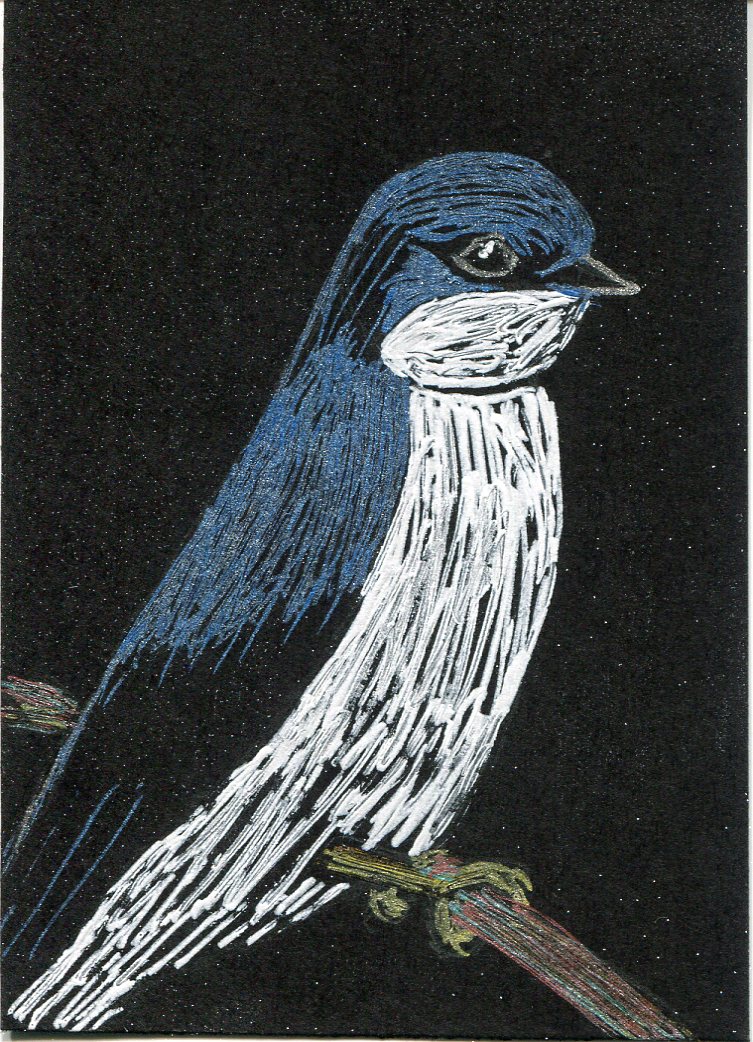 Drawing on black of a Tree Swallow