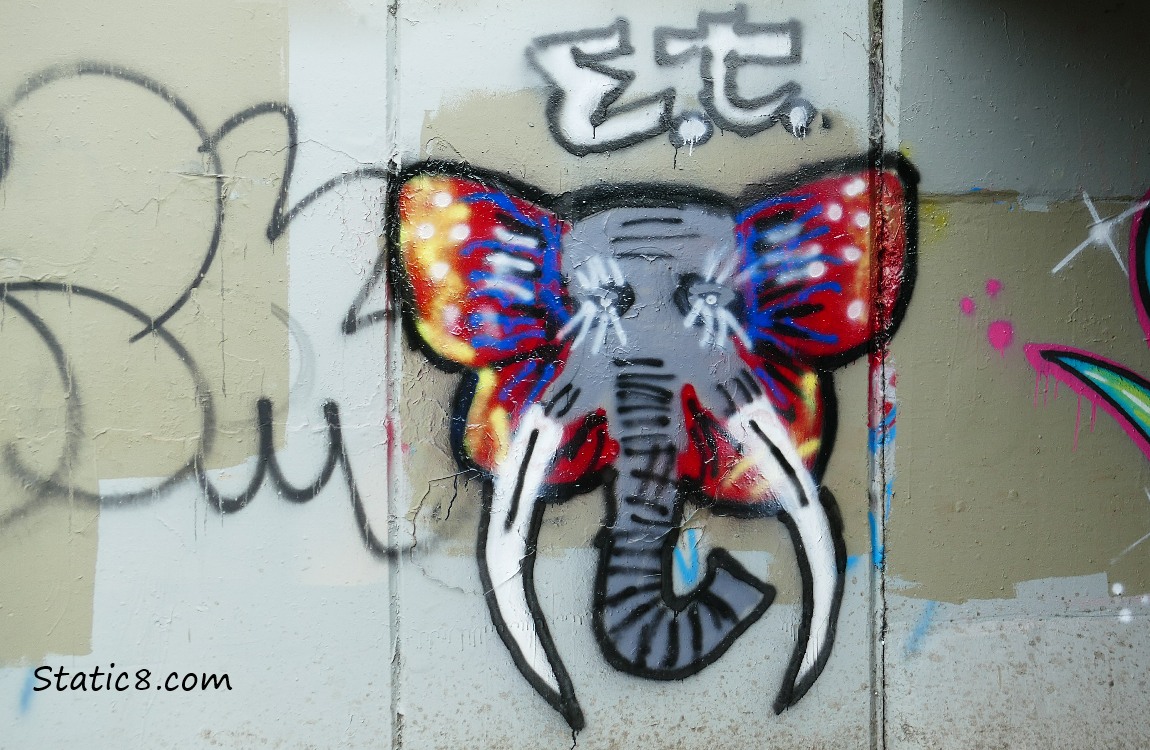 Graffiti by ET, elephant with butterfly ears