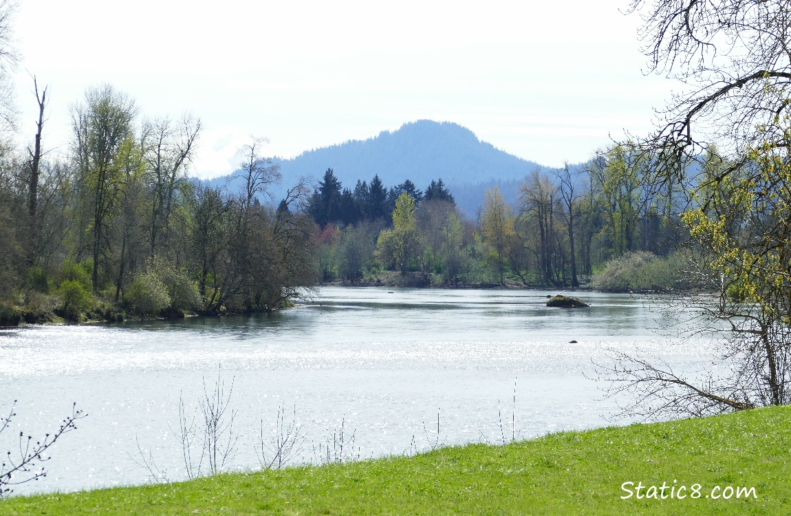 Willamette River and Skinner Butte in the background