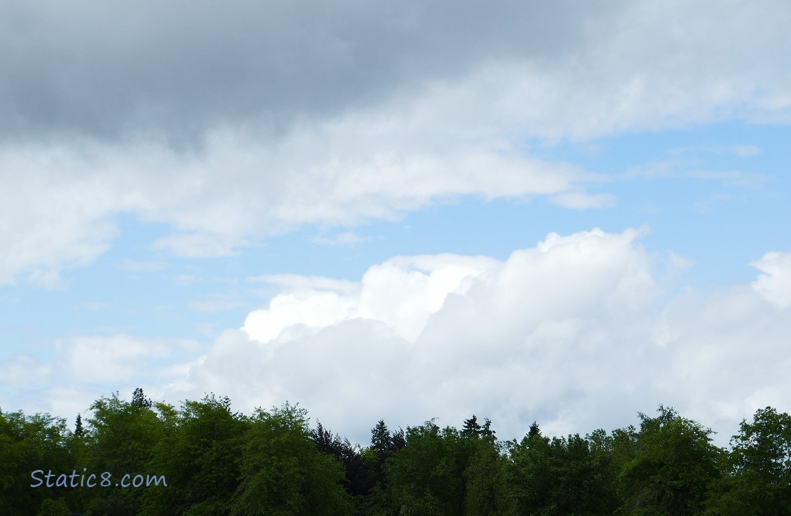 Clouds above trees