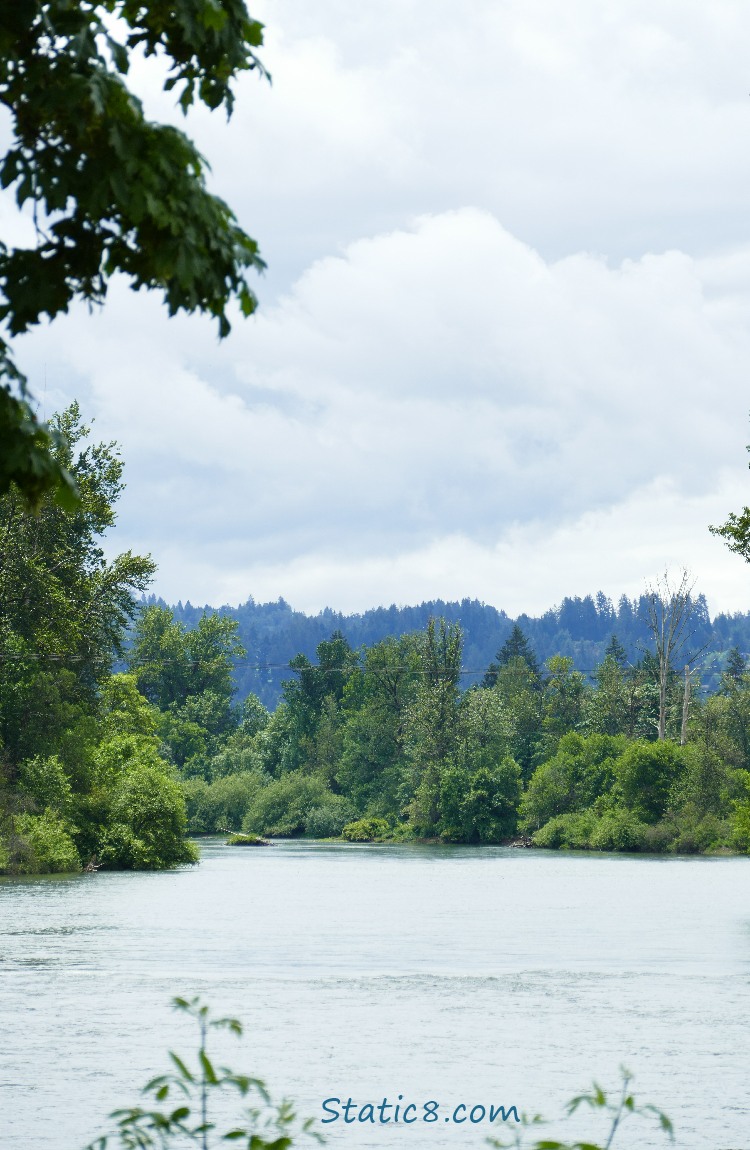 Willamette River under the clouds