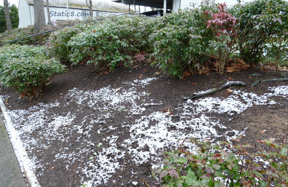 dusting of snow on the ground