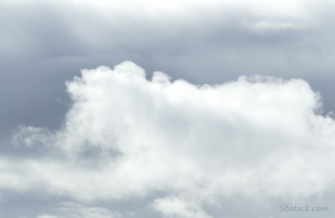 A white puffy cloud in front of dark clouds