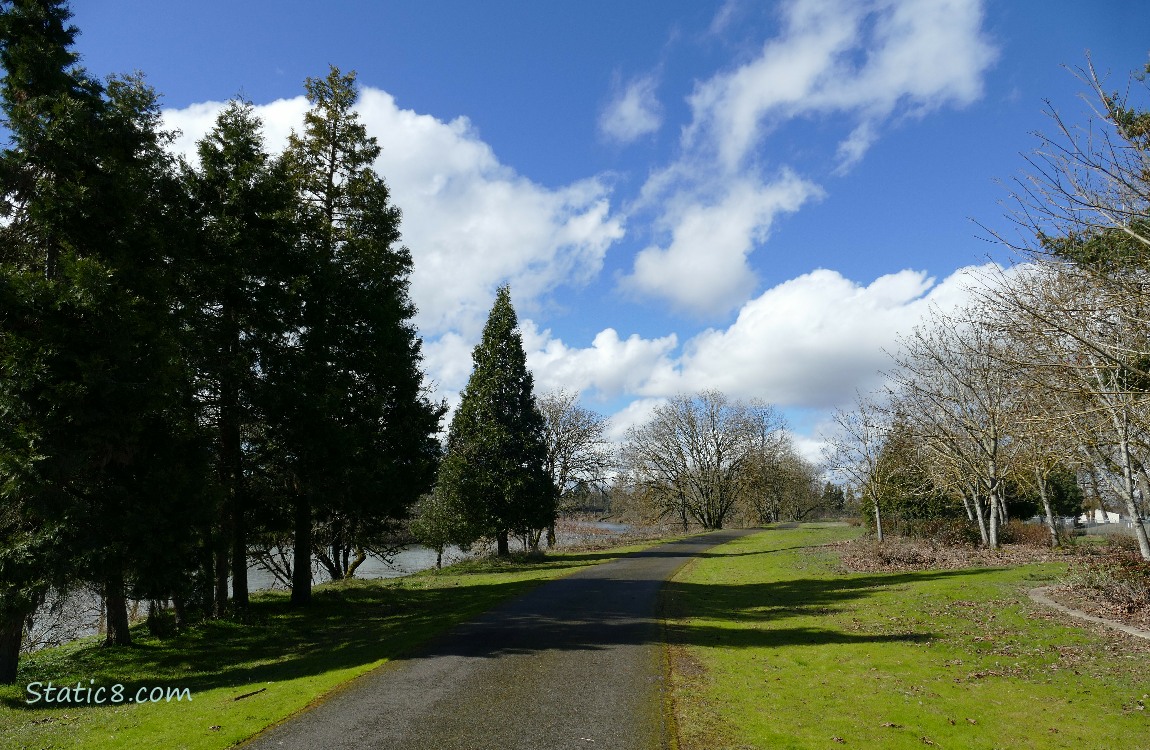 Path with trees and blue sky