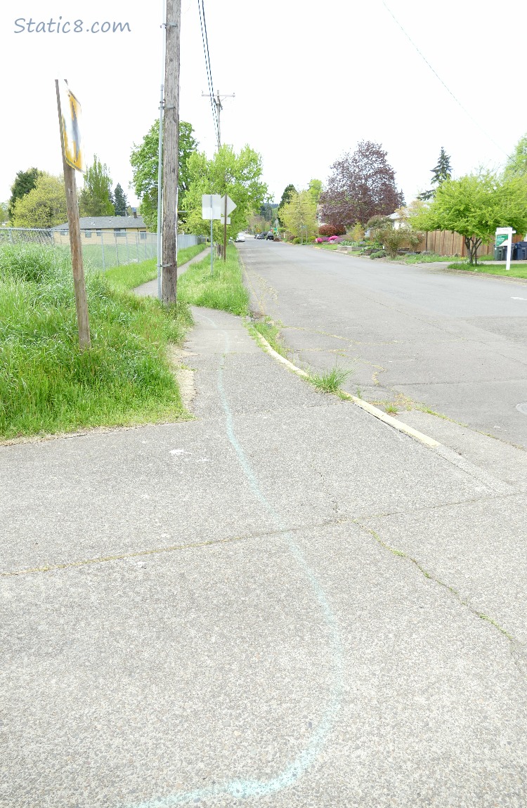 Green line spray painted on the sidewalk