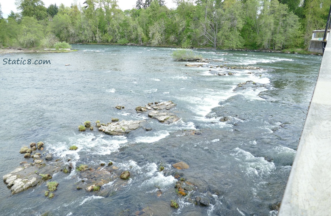 Looking down at river and rocks from a bridge