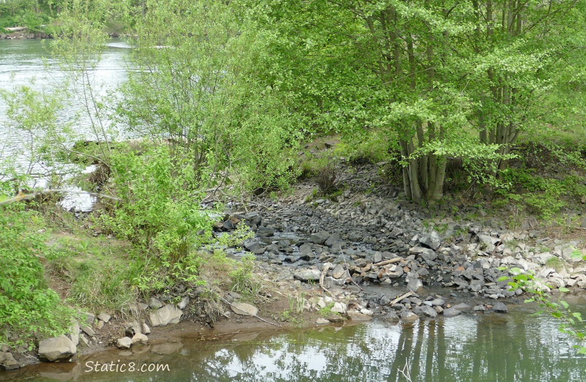 spillway between the river and the ponds