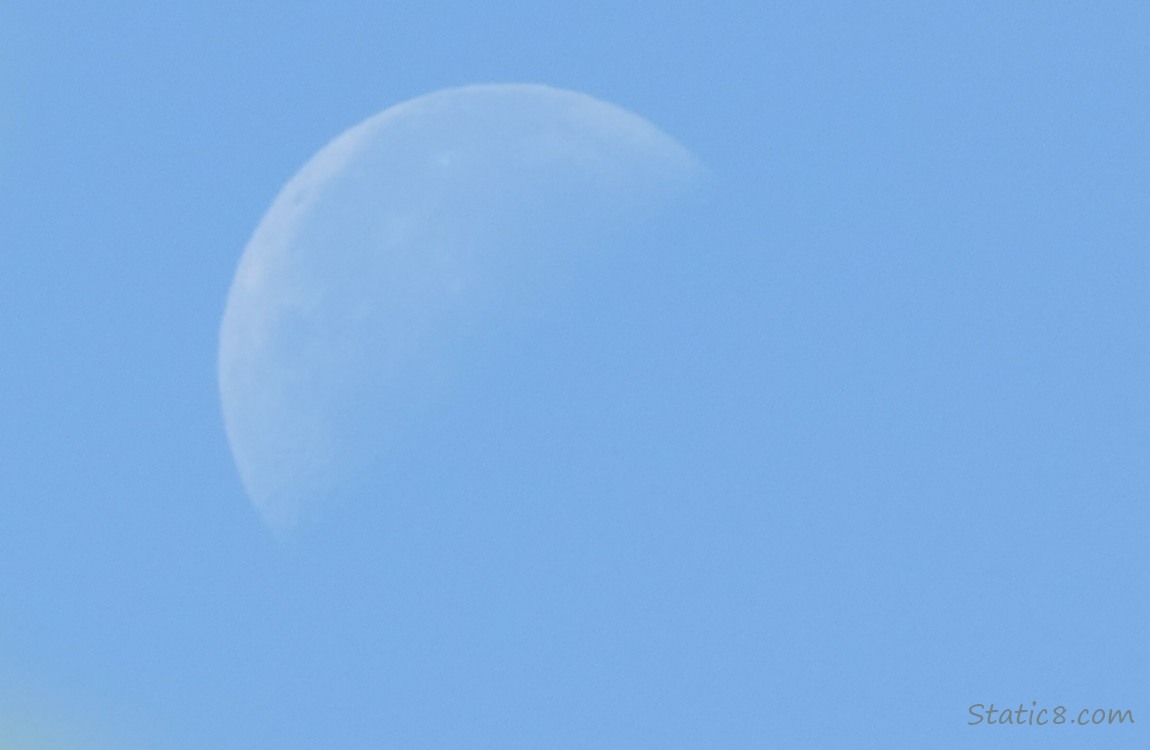 blurry half moon