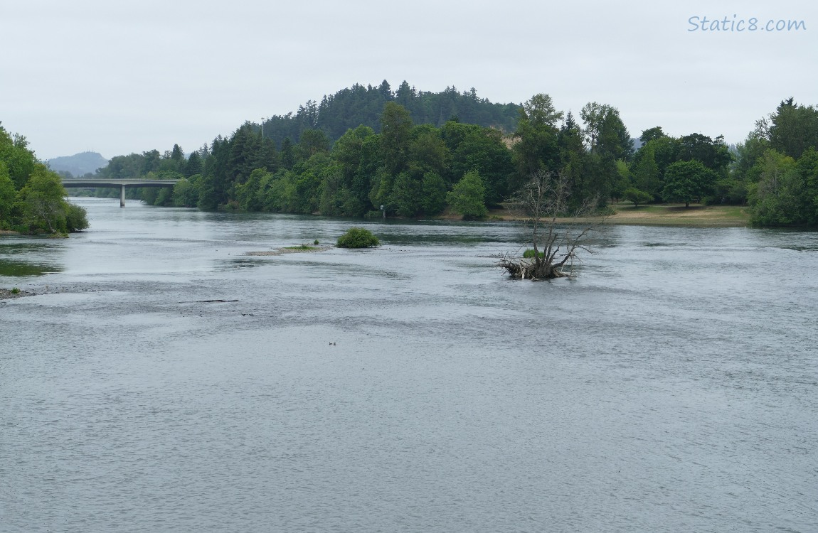 the river on a cloudy day