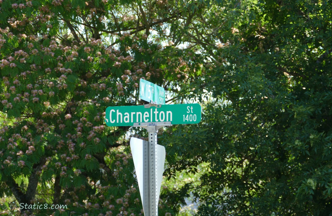 Street sign for Charnelton Street