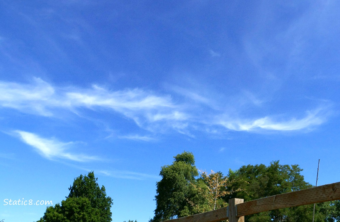 Cirrus clouds in a blue sky