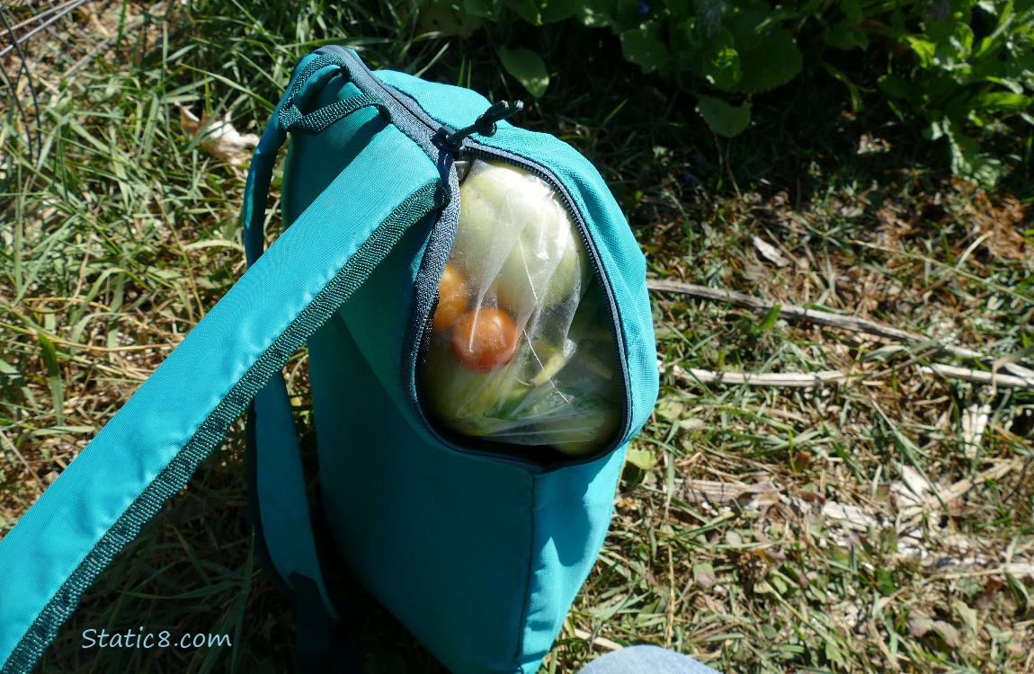 Backpack with vegetables