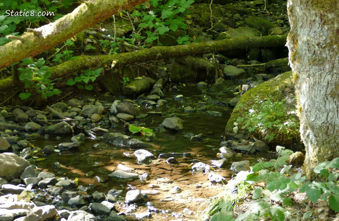 water flowing around many small rocks