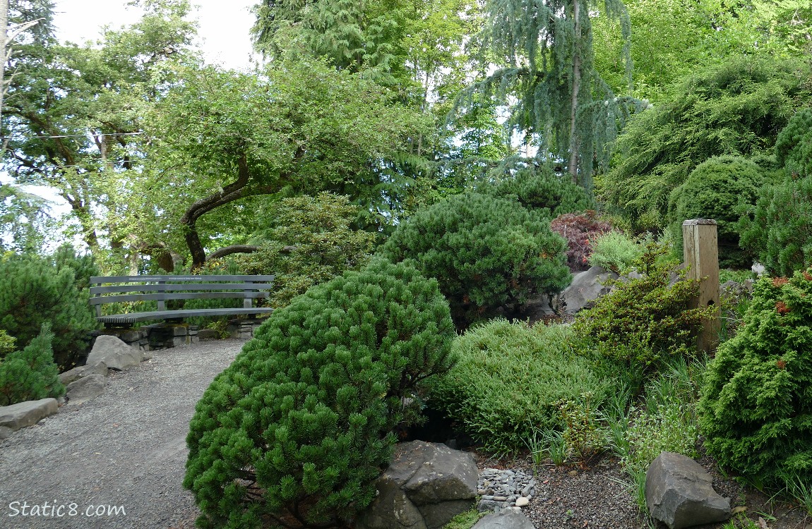 Bench along the path