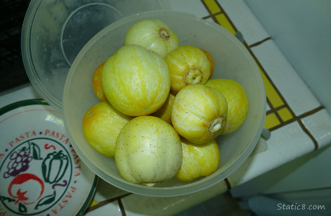 container full of Lemon Cucumbers