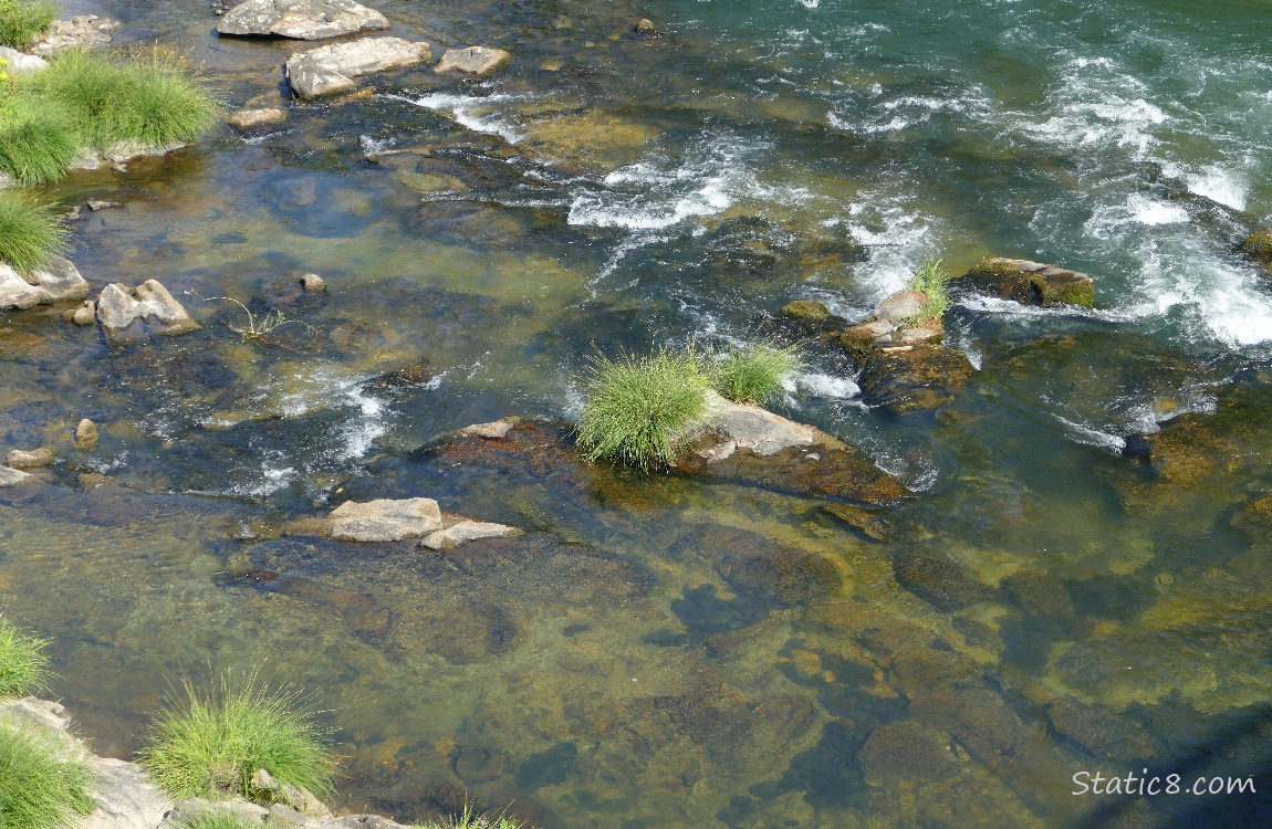 looking down at the river, rocks and grasses