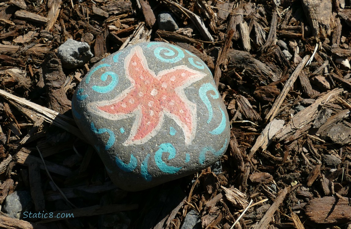 Rock painted with a starfish and swirls!