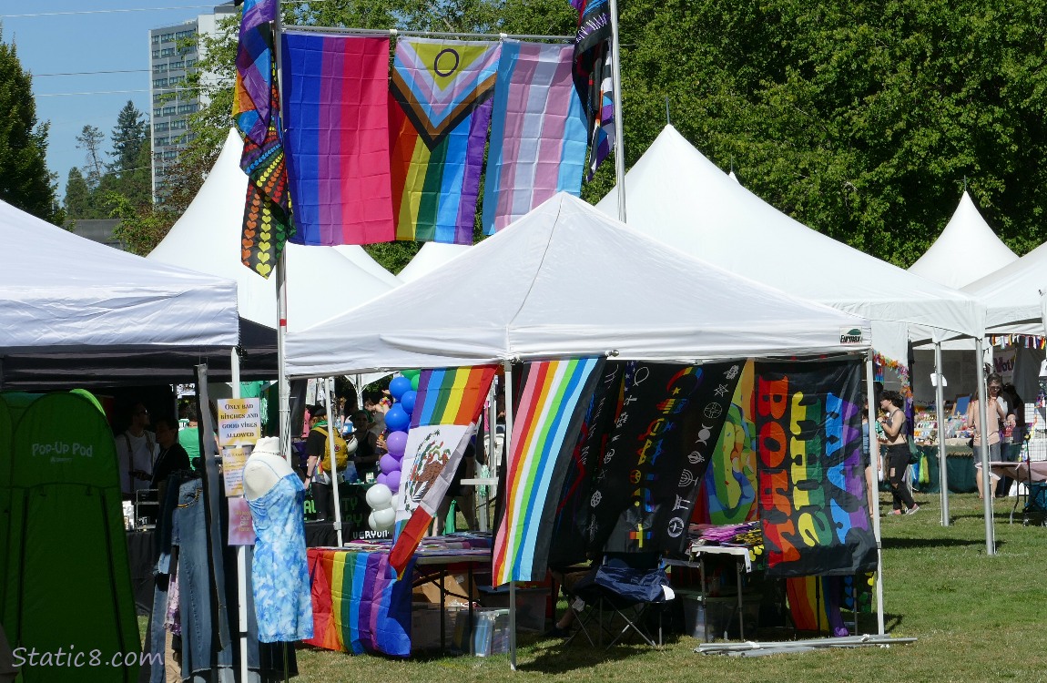 Pride flags displayed