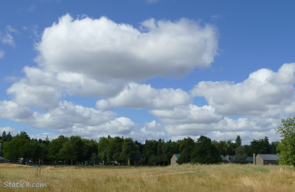 White puffy clouds in a blue sky