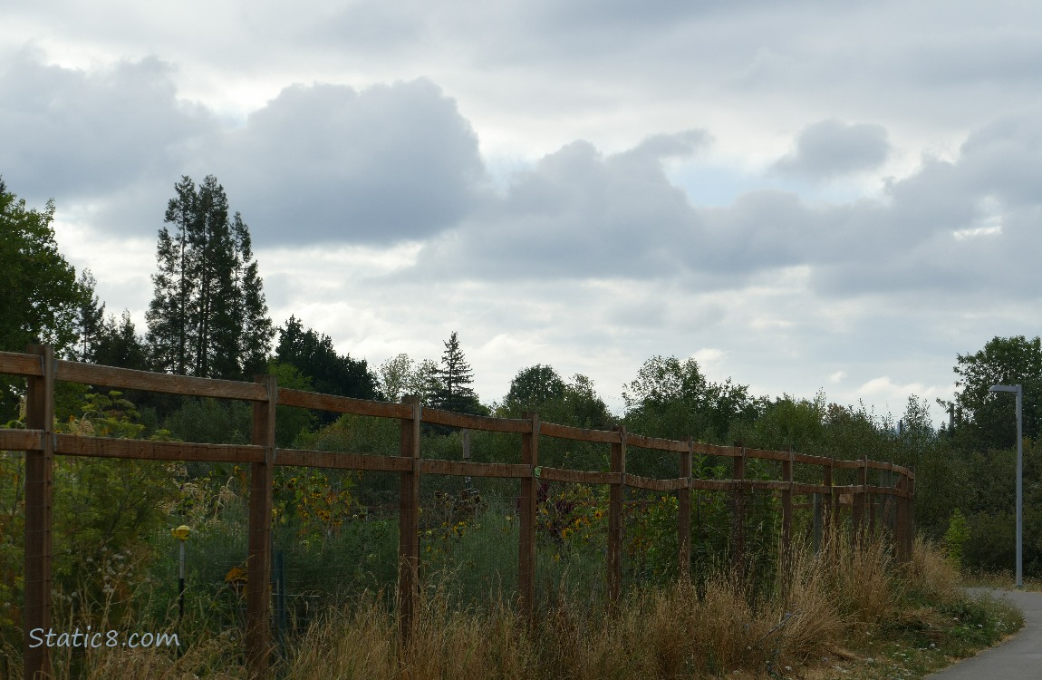 Clouds over the Community Garden