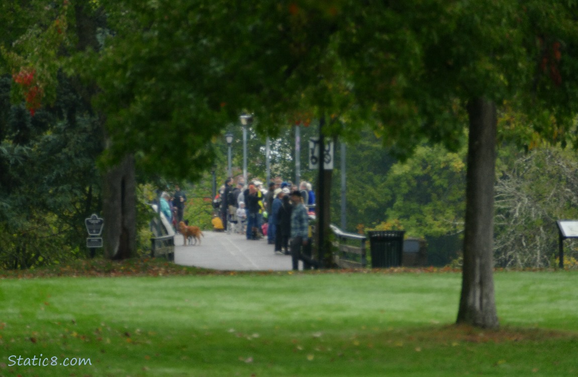 people on the bridge