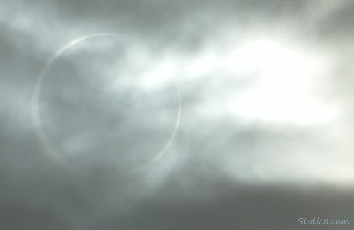 Eclipse, 9:17am