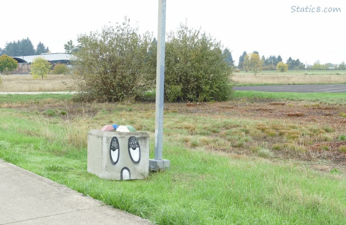 Bike Path art