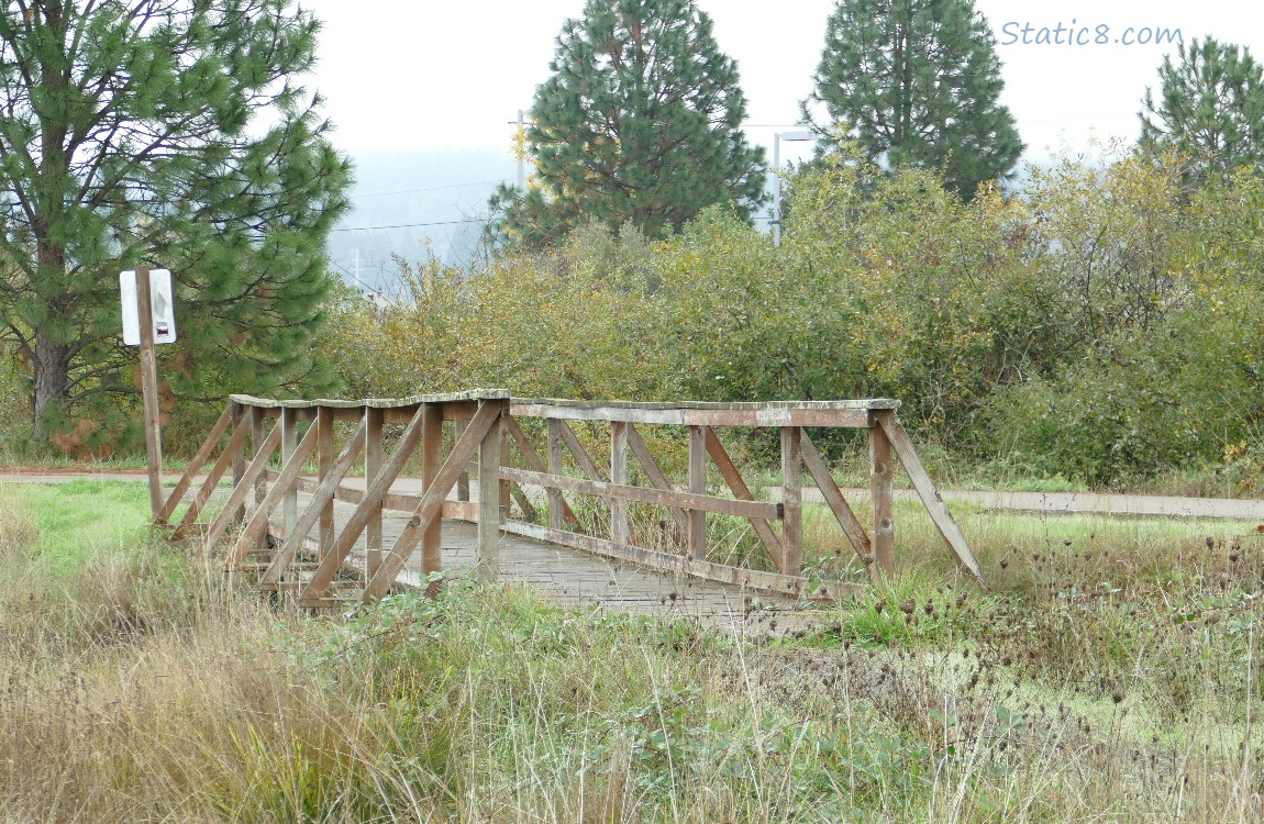 wooden bridge