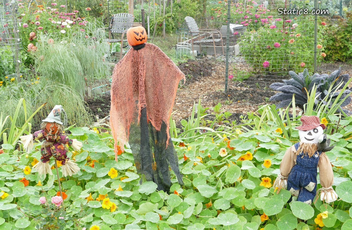 Halloween decorations surrounded by flowers