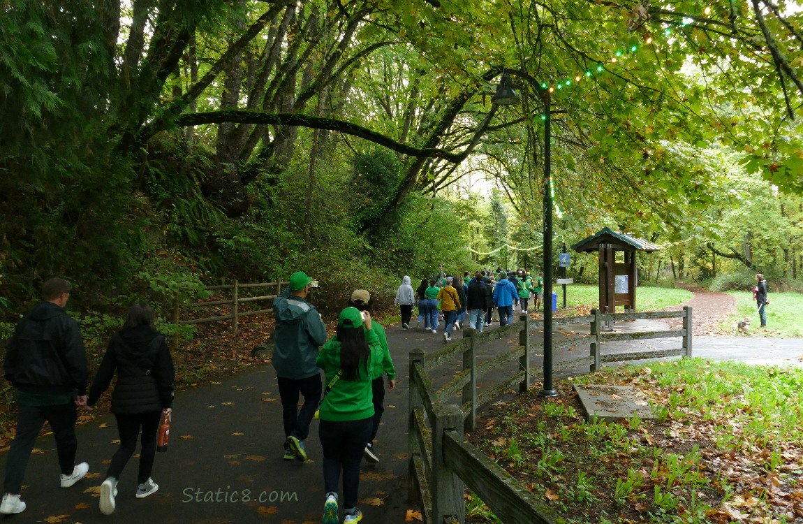 lots of humans on the bike path in the forest