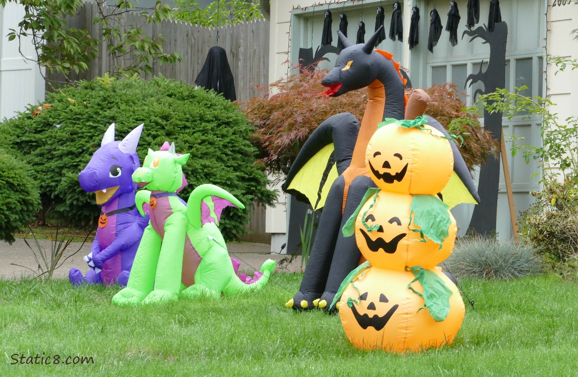 Blow up Halloween decorations in a yard