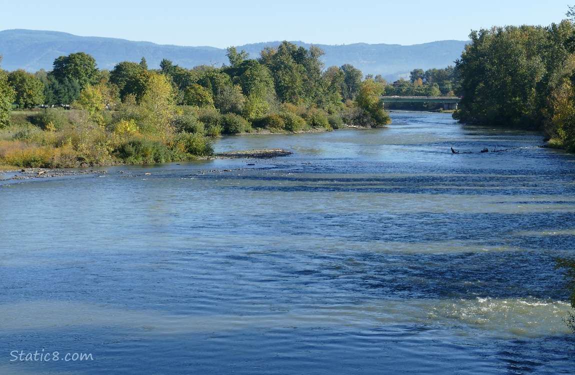 A bridge spans the river with trees on either side