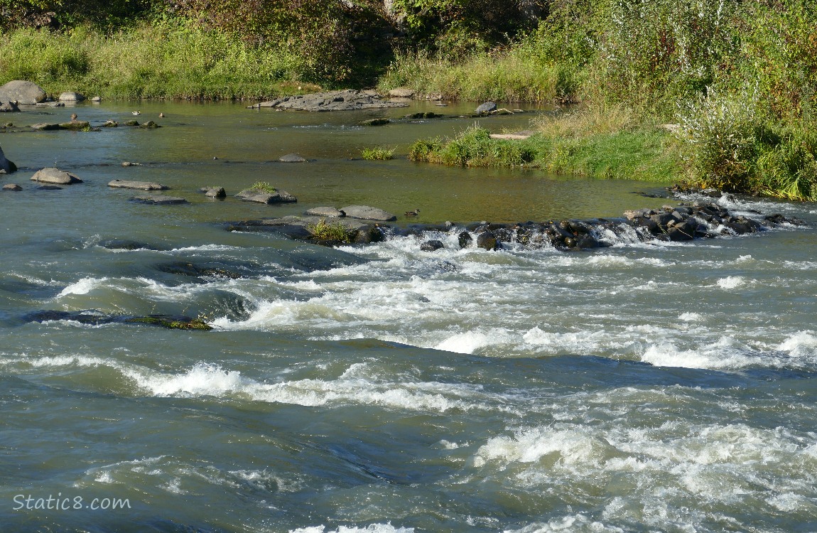 River flowing over rocks