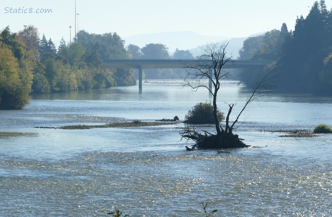 A bridge spans the river with trees on either side