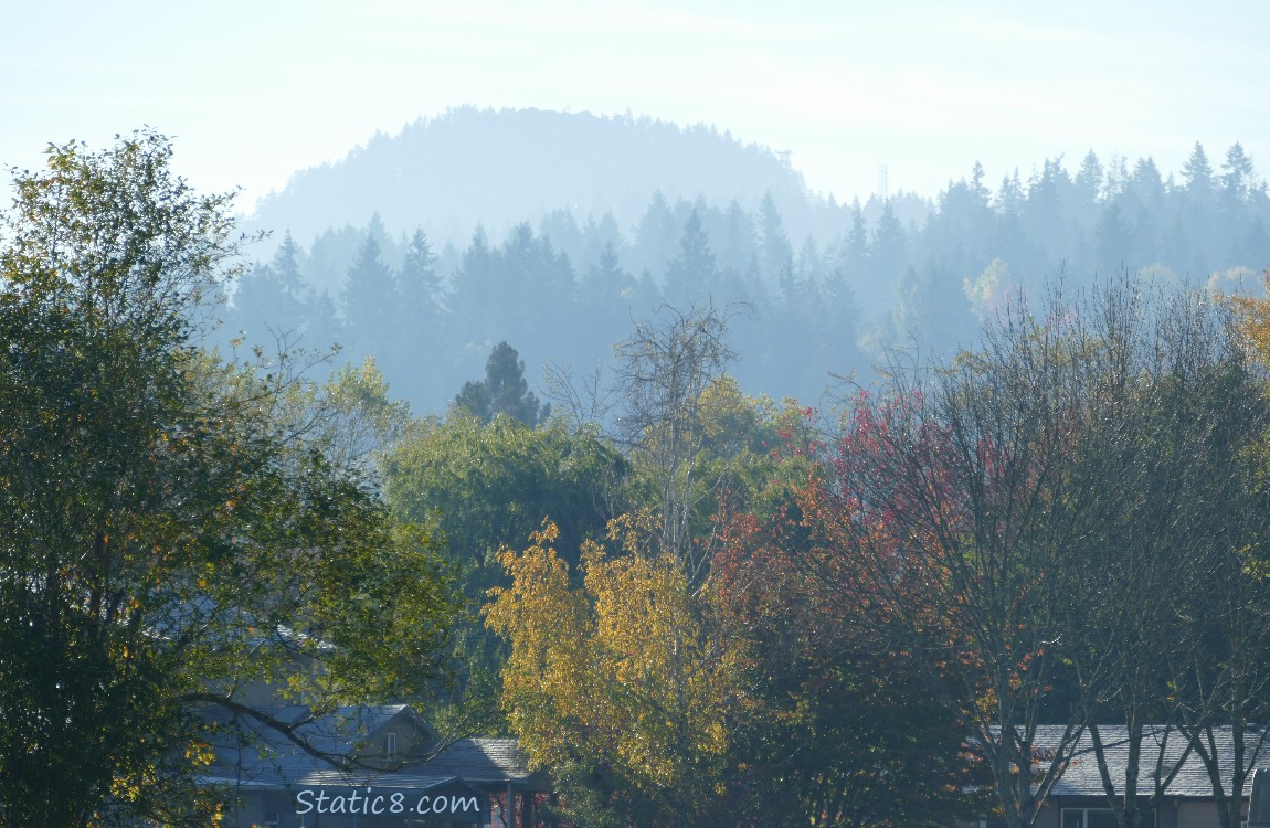 Autumn trees and hill in the distance