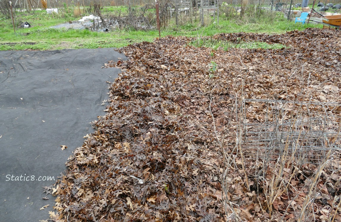 garden plot