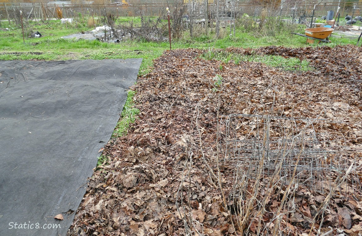 garden plot