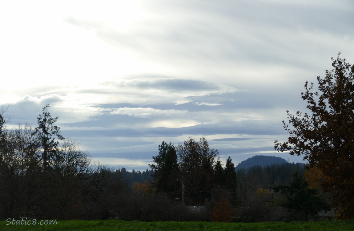 Clouds in the sky above winter bare trees