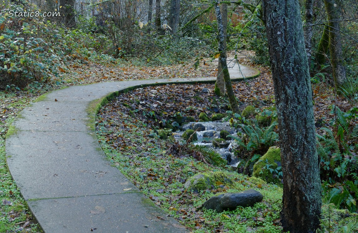 Small Waterfall next to a paved path