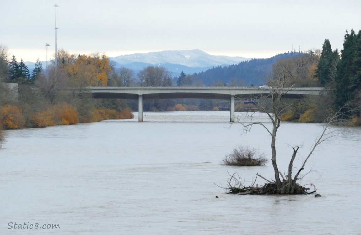 Looking upriver