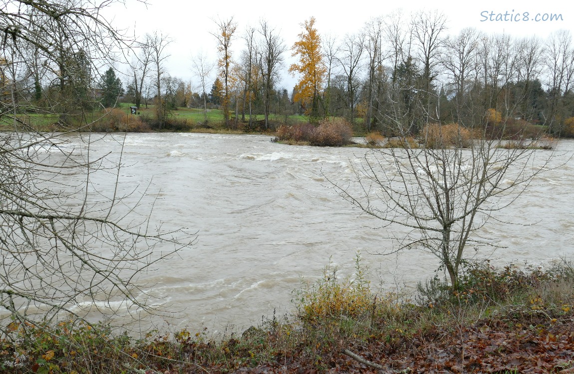 Looking across the river