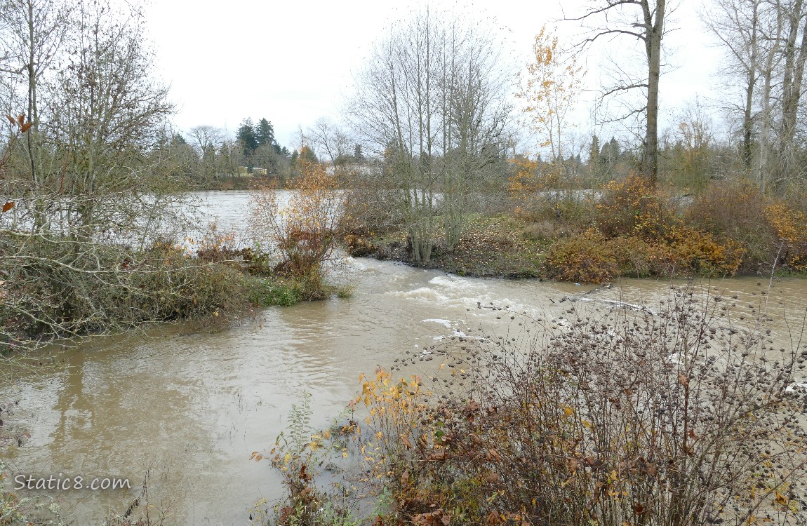 Spillover from the river into the ponds