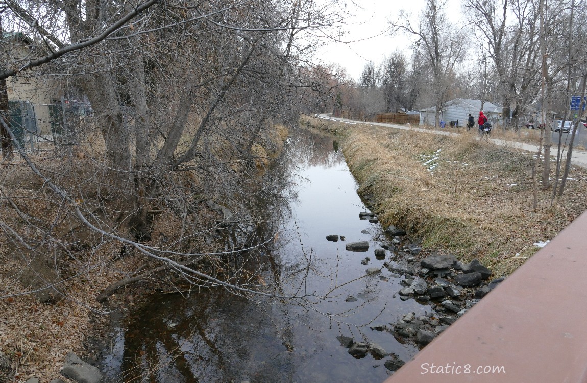 Creek with trees and a bike path with people walking