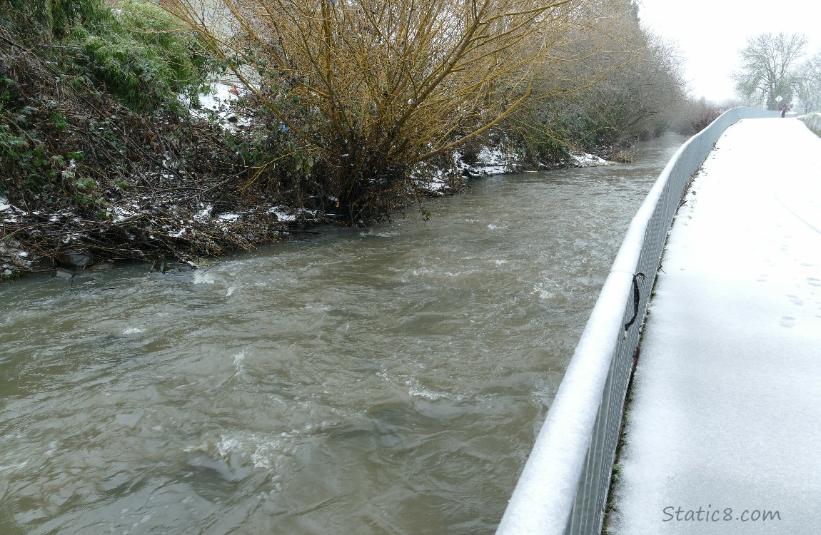 snowy bike path next to the creek